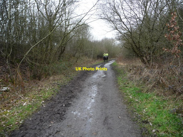 Photo 6"x4" Two horses and their riders heading west Barnsley\/SE3406 c2016