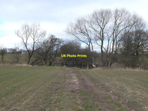 Photo 6"x4" Approaching Hic Bibi well from the South Standish\/SD5610 c2016