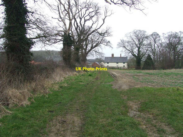 Photo 6"x4" North Hall Farm Henstead c2016