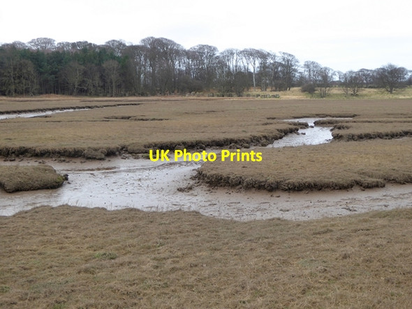 Photo 6"x4" Tidal channels off the Tyne estuary West Barns c2016
