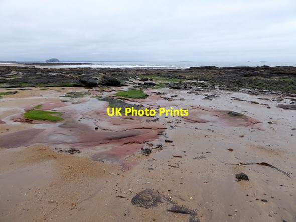 Photo 6"x4" Frances Craig Tyninghame c2016