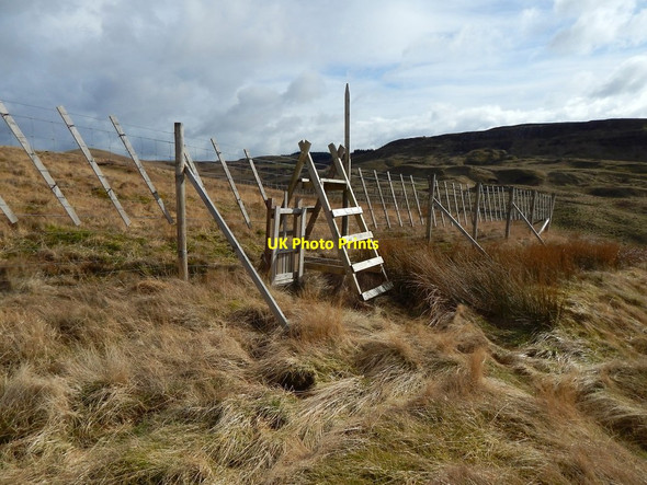 Photo 6"x4" Stile in deer fence Bellsmyre c2016