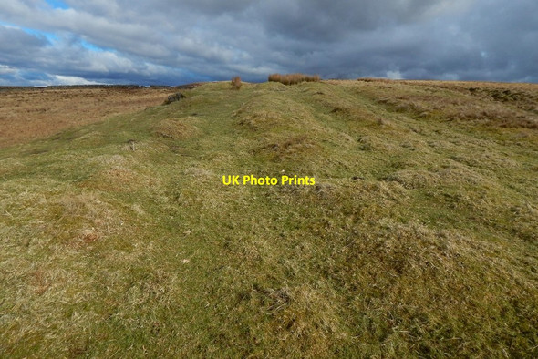 Photo 6"x4" Mound crossed by old track Bellsmyre c2016