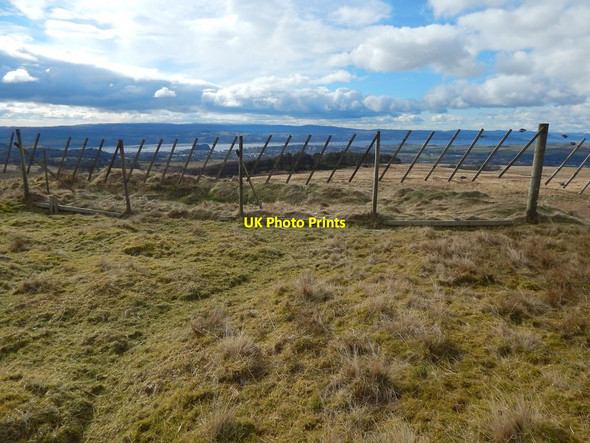 Photo 6"x4" Deer fence Bellsmyre c2016