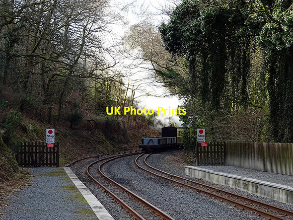 Photo 6"x4" A final glimpse of a special charter train leaving Aberffrwd Aberffrwd\/SN6878 c2016
