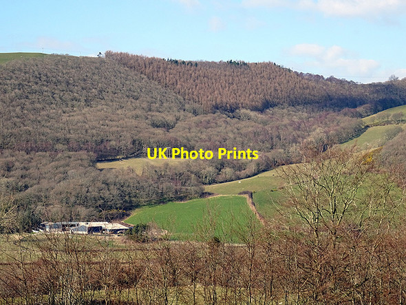 Photo 6"x4" A view across Cwm Rheidol from Aberffrwd towards Tycam farm Aberffrwd\/SN6878 c2016