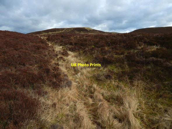 Photo 6"x4" Old track to Meikle White Hill Bonhill c2016