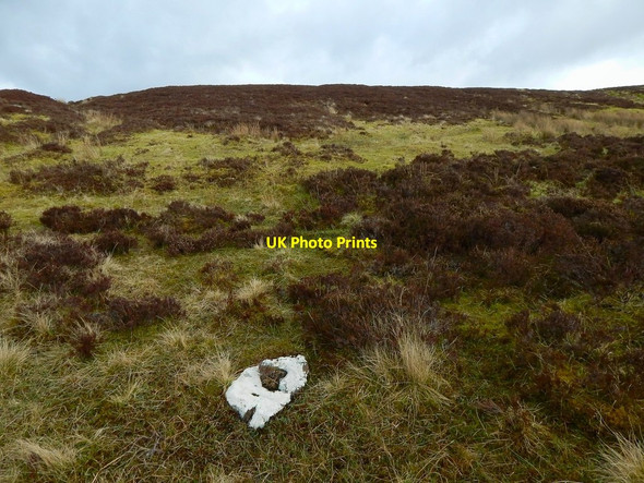 Photo 6"x4" Western slopes of Meikle White Hill Bonhill c2016