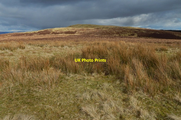 Photo 6"x4" Meikle White Hill Meikle White Hill c2016