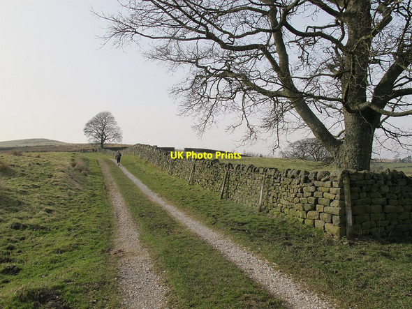 Photo 6"x4" Track onto Rombalds Moor Burley Woodhead c2016