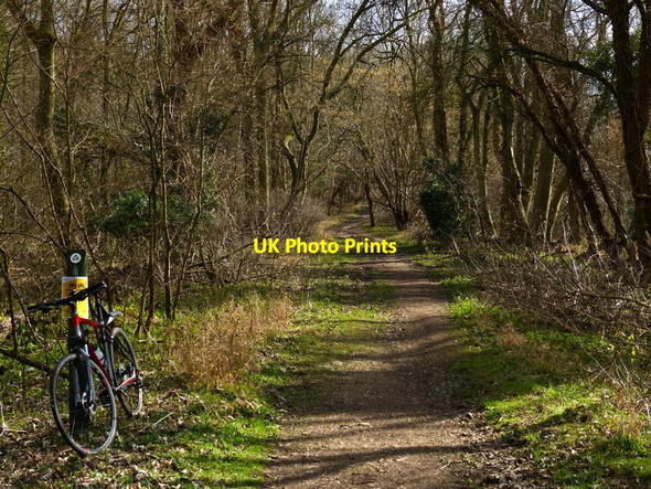 Photo 6"x4" Jurassic Way footpath in Fineshade Wood Duddington c2016