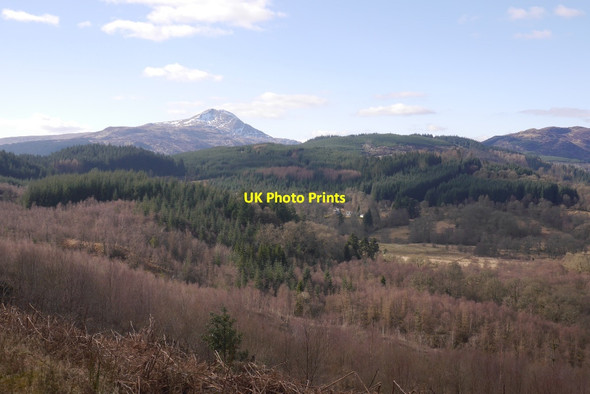 Photo 6"x4" Loch Ard Forest Altskeith c2016
