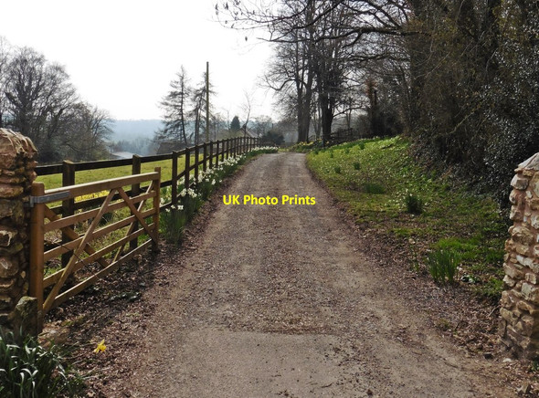 Photo 6"x4" Entrance drive, Burrow Hill Farm Madford c2016