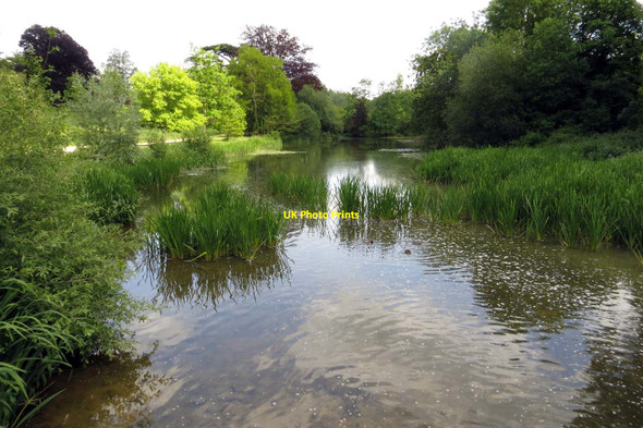 Photo 6"x4" The River Glyme in the Blenheim Palace grounds Woodstock\/SP4416 c2015