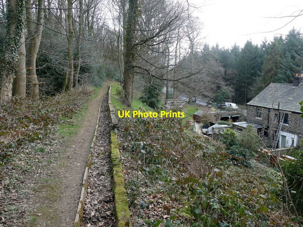 Photo 6"x4" Path in Sheephouse Wood Midhopestones c2016