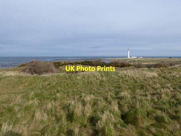 Photo 6"x4" Old quarry at Cat Craig Broxburn\/NT6977 c2016