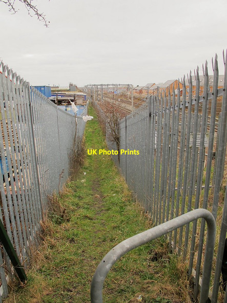 Photo 6"x4" Footpath alongside the railway Sandbach c2016