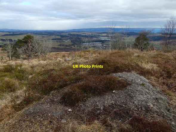 Photo 6"x4" Puddingstone on Callander Craig Callander c2016