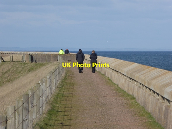 Photo 6"x4" Upper walkway at Torness Point Thorntonloch c2016