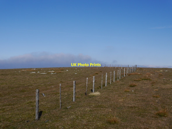 Photo 6"x4" Summit plateau, Pykestone Hill Langhaugh\/NT2031 c2015