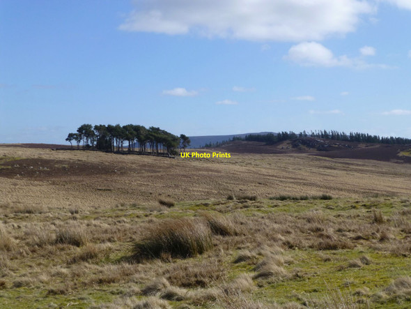 Photo 6"x4" On Daw's Hill Holystone c2016