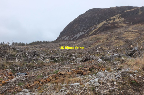 Photo 6"x4" Clear-felled hillside below Glas Bheinn Galltair c2016