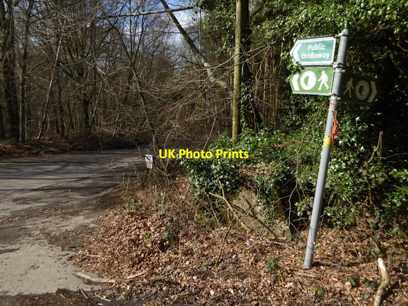 Photo 6"x4" Looking into Cartersledge Lane from Horsham Road Ashfold Crossways c2016