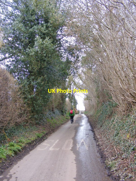 Photo 6"x4" Pear Tree Lane Broughton\/SO8091 c2016