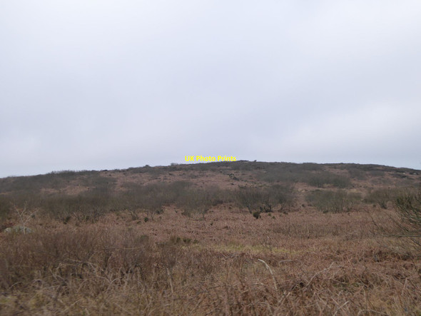 Photo 6"x4" Tremedda Common and Zennor Hill Tremedda c2016
