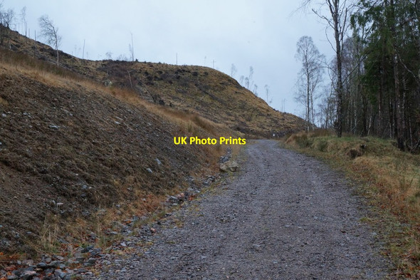 Photo 6"x4" Logging track near Struy Erchless Castle c2016