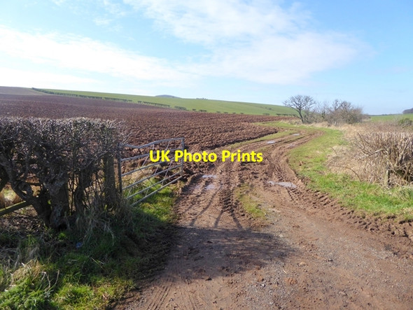 Photo 6"x4" Gateway at Ewford Stenton\/NT6274 c2016