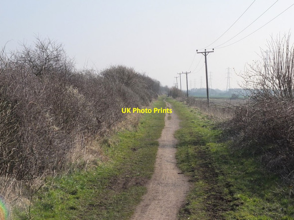 Photo 6"x4" Trans Pennine Trail Maghull c2016