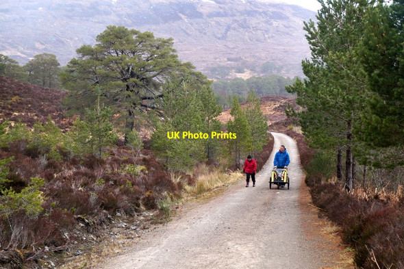 Photo 6"x4" Walking in Glen Affric Loch Pollain Buidhe c2016