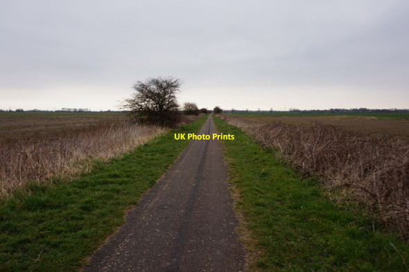 Photo 6"x4" Hornsea Rail Trail towards Swine Swine c2016 P1