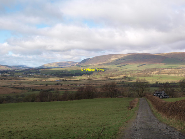 Photo 6"x4" Track to Bar Hill Roman fort Blackwood\/NS7274 c2016