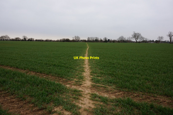 Photo 6"x4" Path leading to Bilton, Hull Bilton\/TA1633 c2016