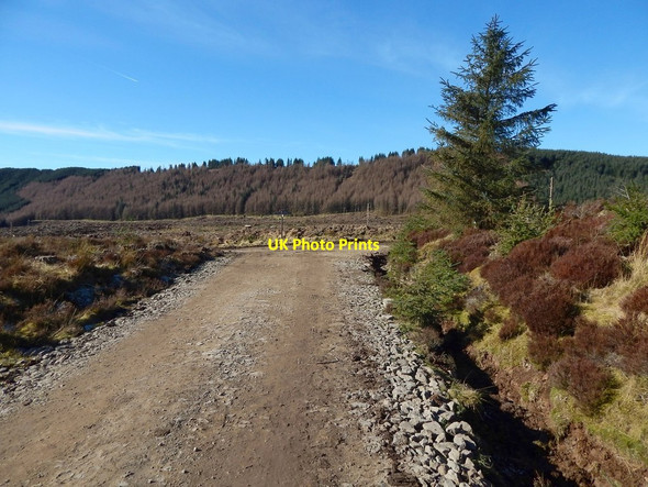 Photo 6"x4" Path junction on Darleith Muir Arden\/NS3684 c2016