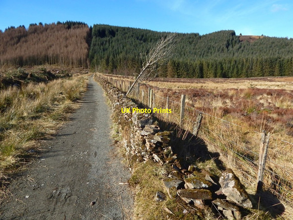 Photo 6"x4" Path to Goukhill Muir Arden\/NS3684 c2016