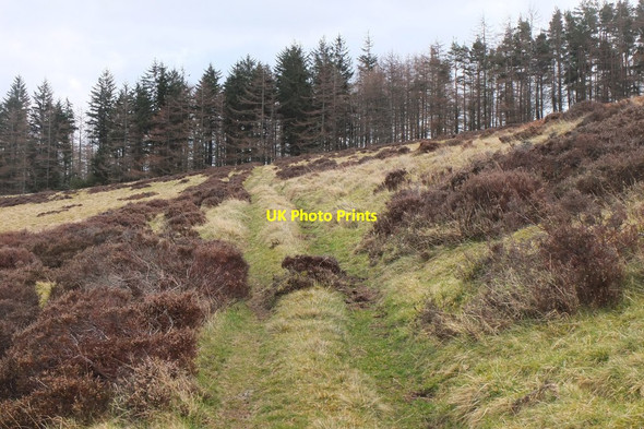 Photo 6"x4" Track on Cademuir Hill Peebles\/NT2540 c2016