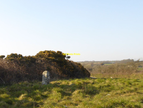 Photo 6"x4" Milestone by B3297 north of Trenear Trenear c2016