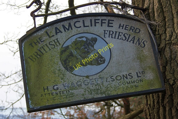 Photo 6"x4" Friesian sign, Common Farm Hanley Swan c2009
