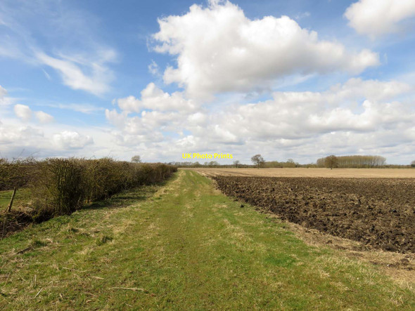 Photo 6"x4" Bridleway to Landmead Farm Marcham c2016