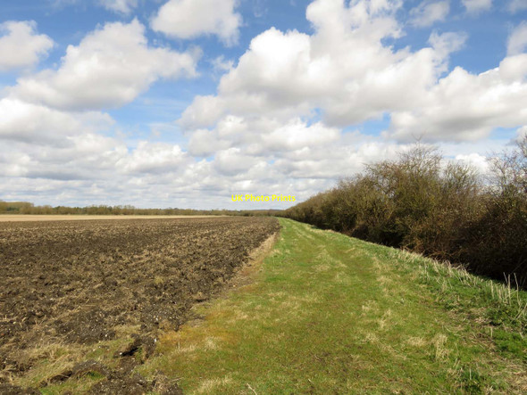 Photo 6"x4" Field edge by Landmead Farm Marcham c2016