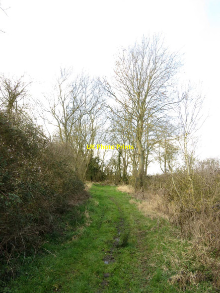 Photo 6"x4" Bridleway to Drayton Marcham c2016