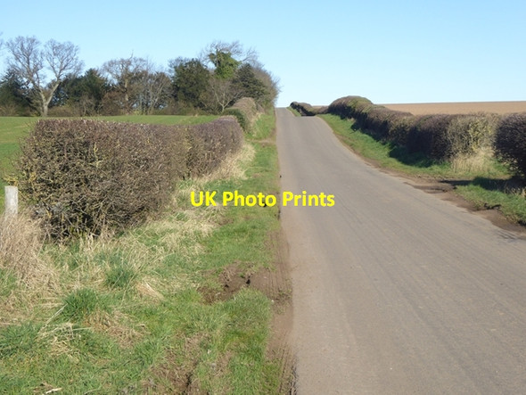 Photo 6"x4" Country road near Preston Mains East Linton c2016