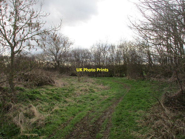 Photo 6"x4" Bend in Marston Lane Allington\/SK8540 c2016