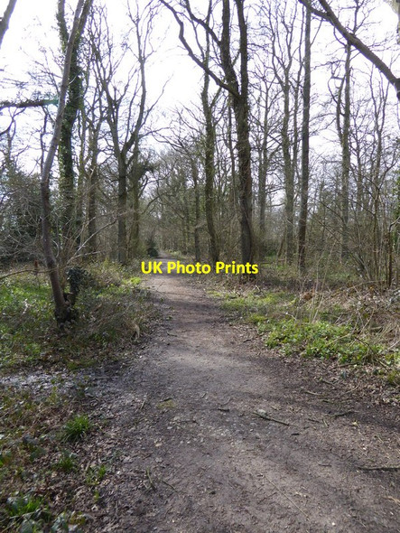 Photo 6"x4" Bridleway goes west towards Upper Bewbush Bewbush c2016