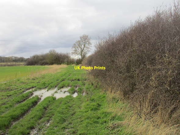 Photo 6"x4" A wet Marston Lane Allington\/SK8540 c2016