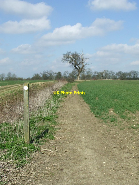 Photo 6"x4" Footpath And Guide Post Hinxton c2016