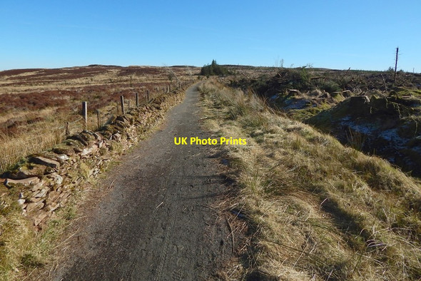 Photo 6"x4" Path to Darleith Muir Arden\/NS3684 c2016